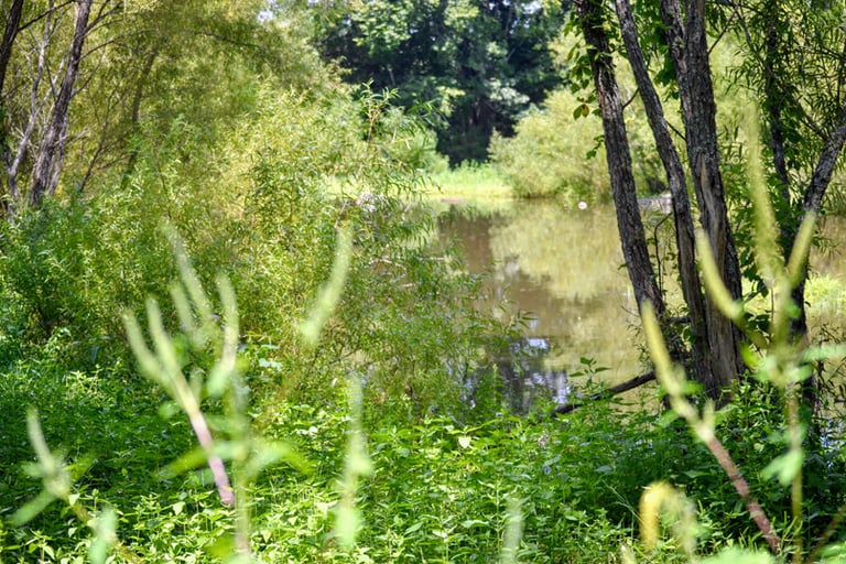 Training Pond