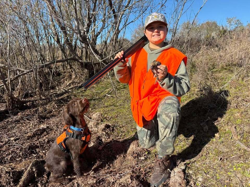 image-1531177311275748