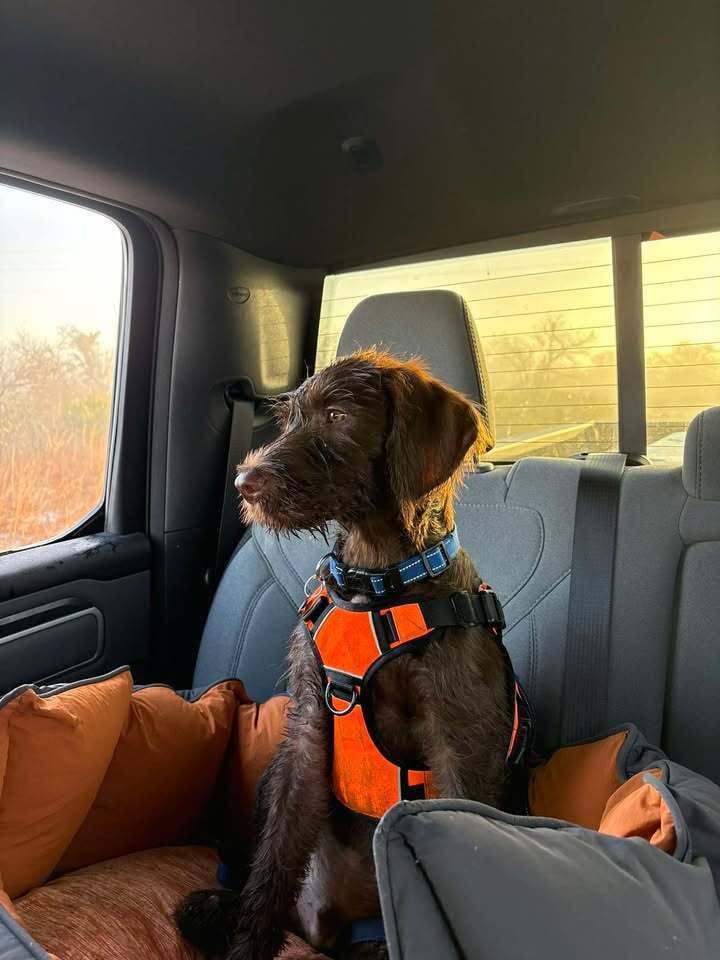 image-25708852342141051